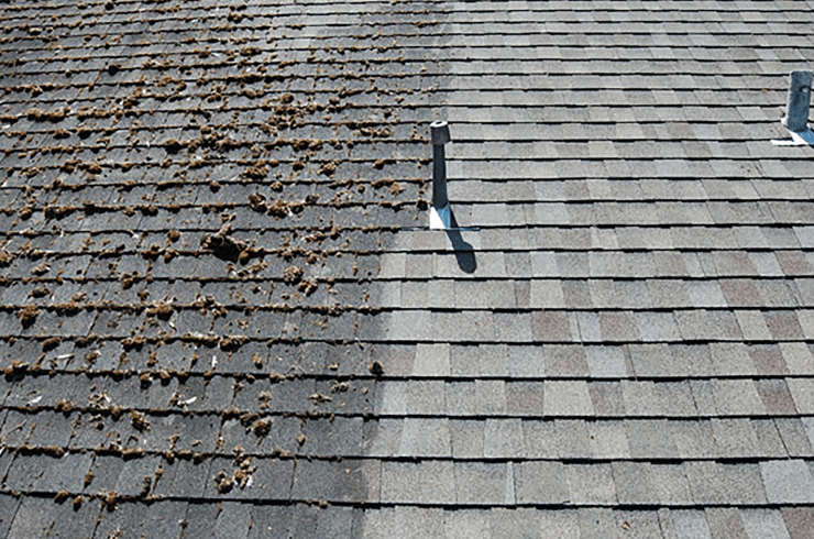 SoCal Pressure & Softwash