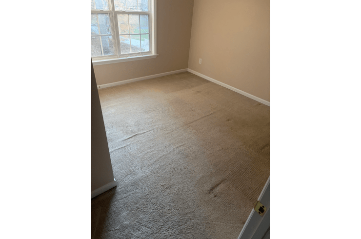 OSO Carpet and Upholstery