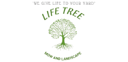 Life Tree Landscape