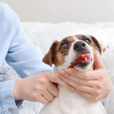 PET TEETH CLEANING