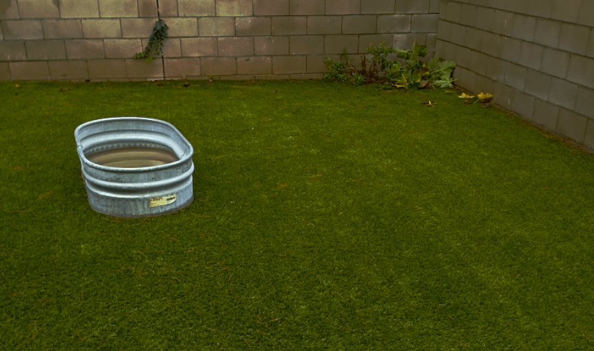 RESIDENTIAL DOG WASTE REMOVAL