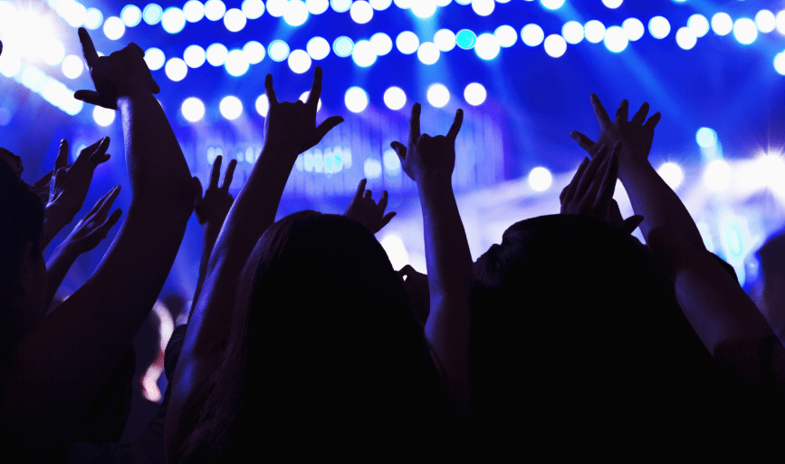 ENTERTAINMENT RENTALS