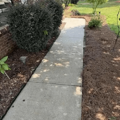 CONCRETE CLEANING