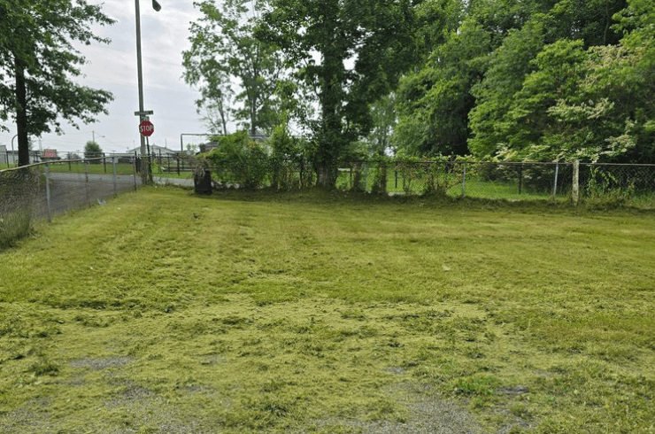 Shady Oaks Property Management