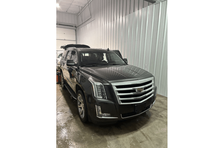 Diamond Premium Detailing