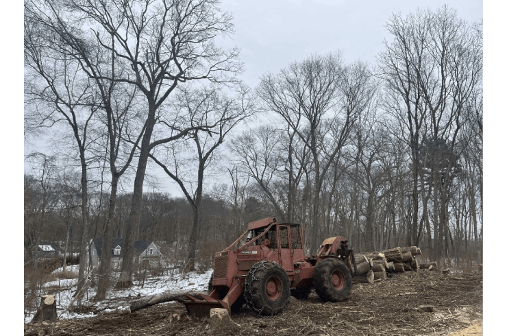 Blake & Son Timber Harvesting