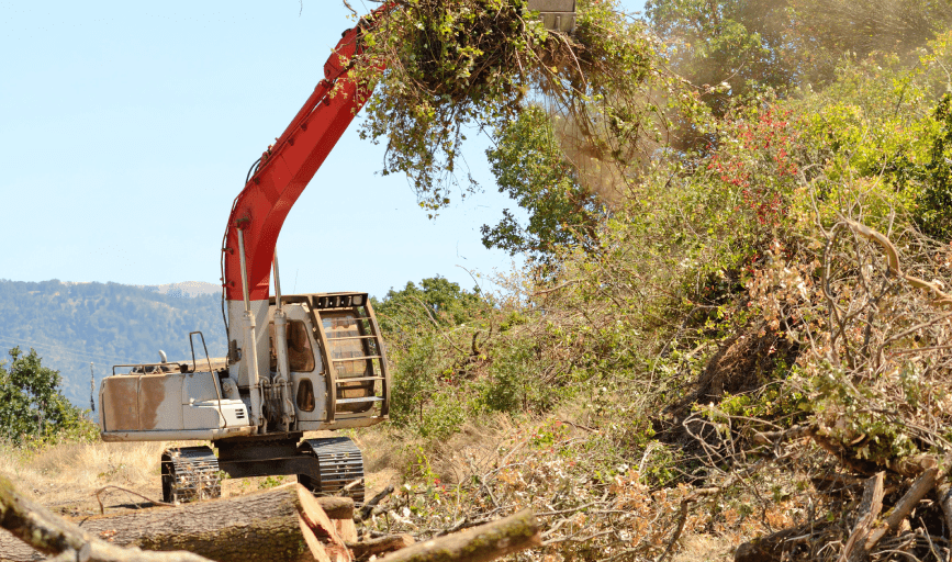 LAND CLEARING