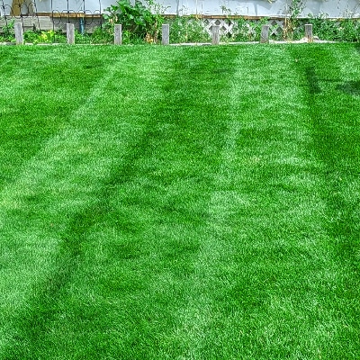 LAWN CARE