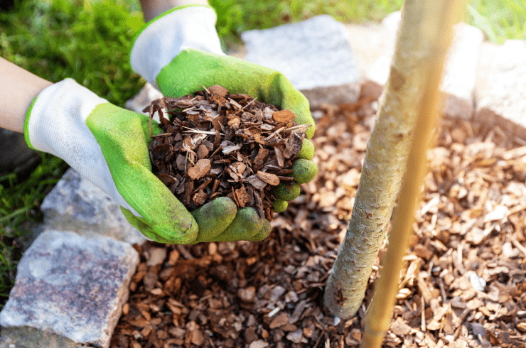 Swift Workz Landscaping