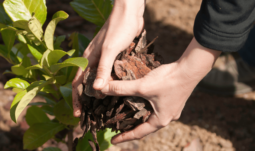 MULCHING