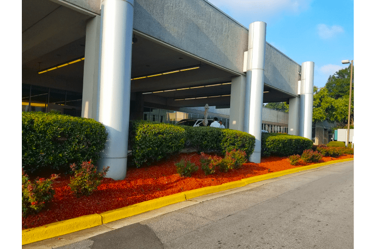 Ramsey's Professional Group