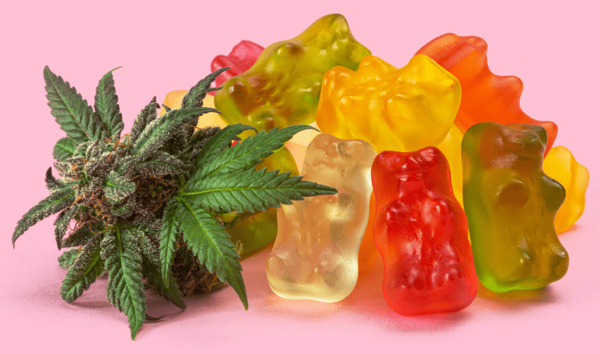 CANNABIS EDIBLES