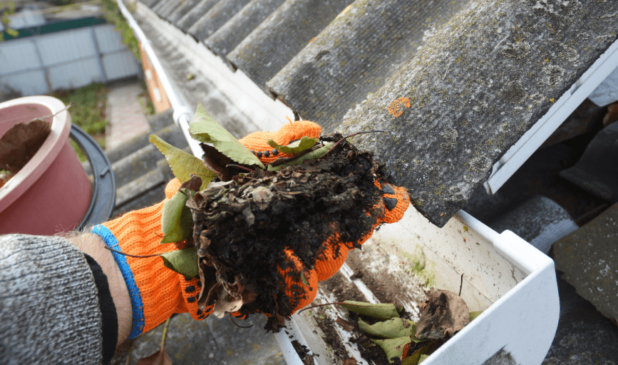 GUTTER CLEANING