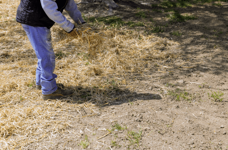 A1 Landscaping Services