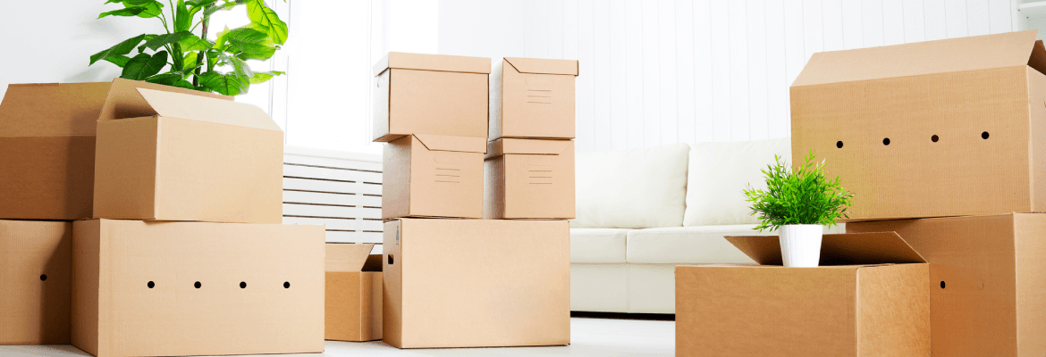 Big Draws Moving & Storage 