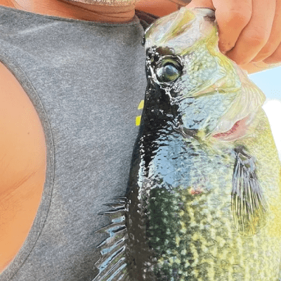 Full-Day Fishing Charters