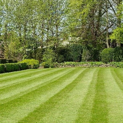 Lawn Care