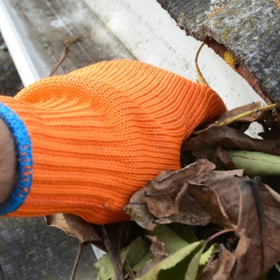 Gutter Cleaning
