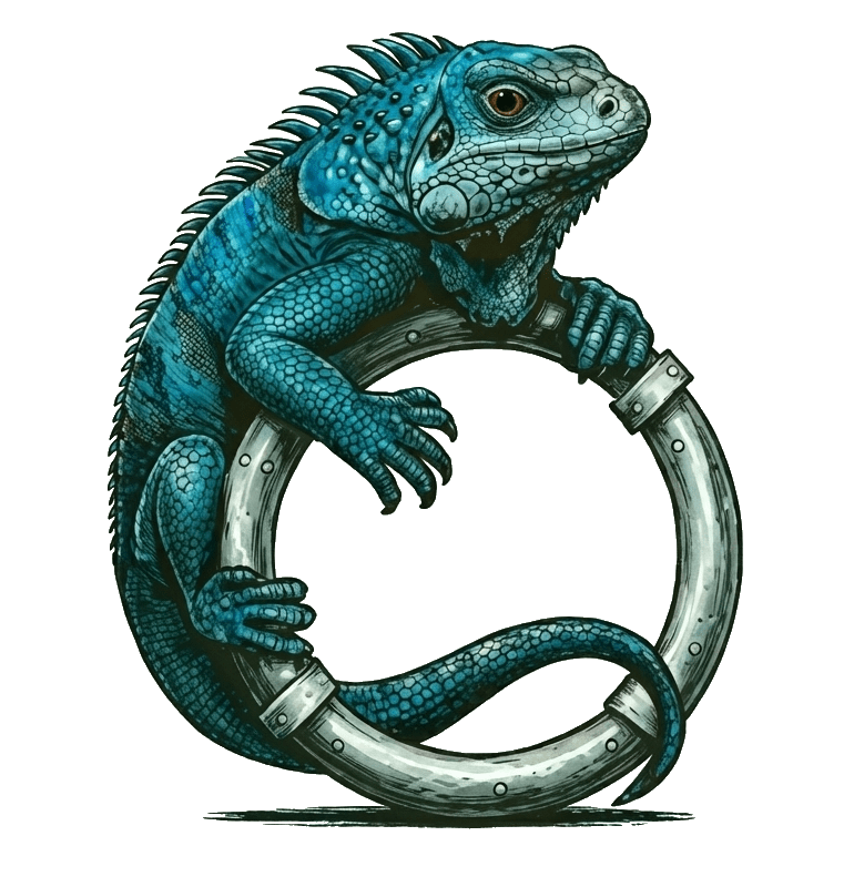 Blue Iguana Drain Solutions LLC