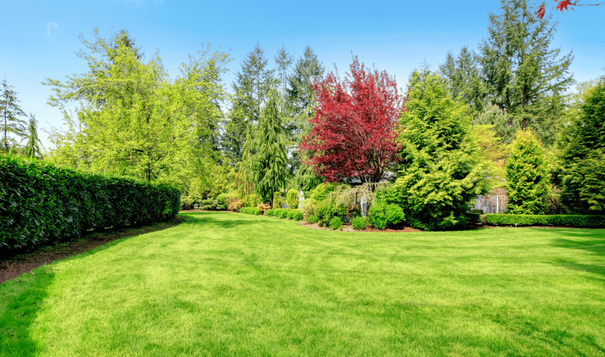 Landscaping Services