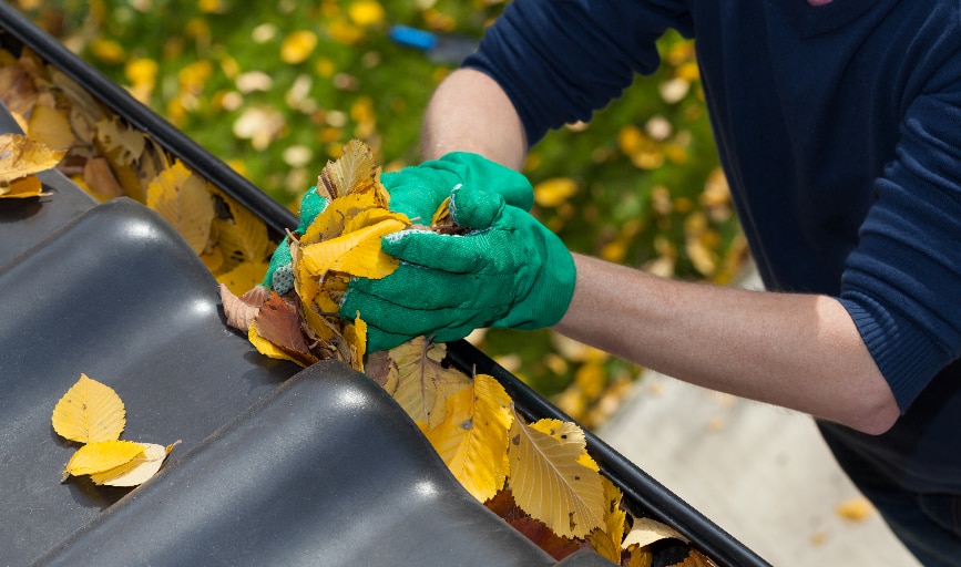 Gutter Cleaning
