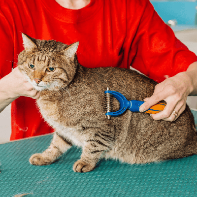 PET DESHEDDING