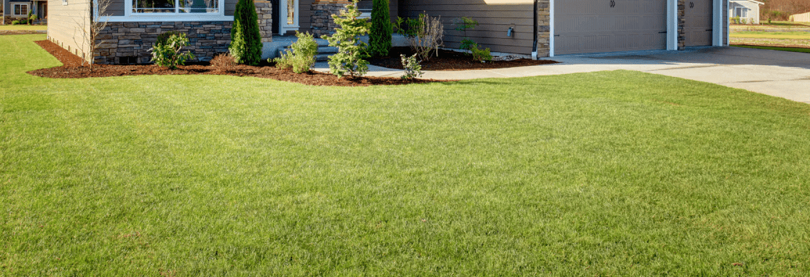 Central Arkansas Hydroseeding