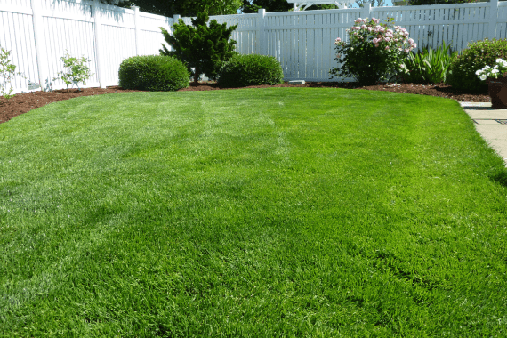 Central Arkansas Hydroseeding