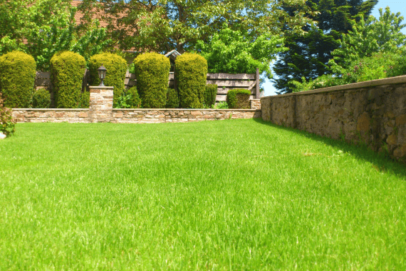 Central Arkansas Hydroseeding