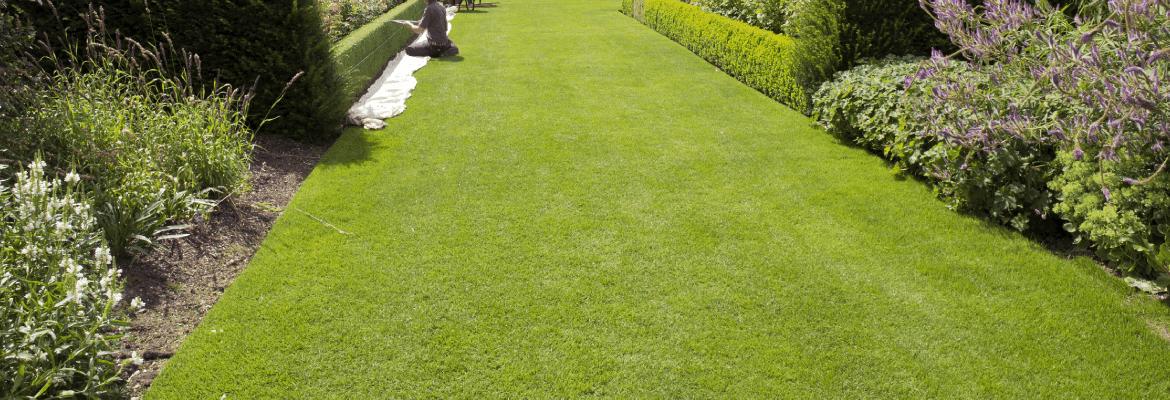 Central Arkansas Hydroseeding