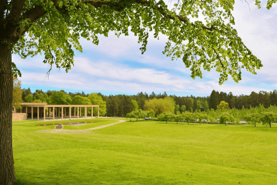 Central Arkansas Hydroseeding