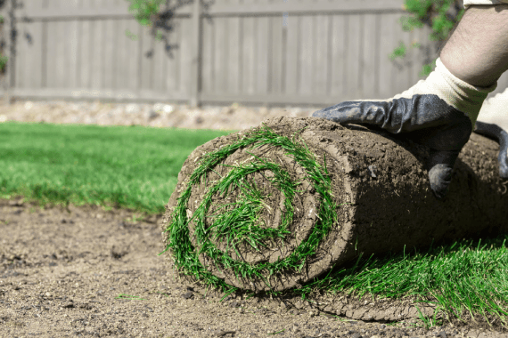 Central Arkansas Hydroseeding