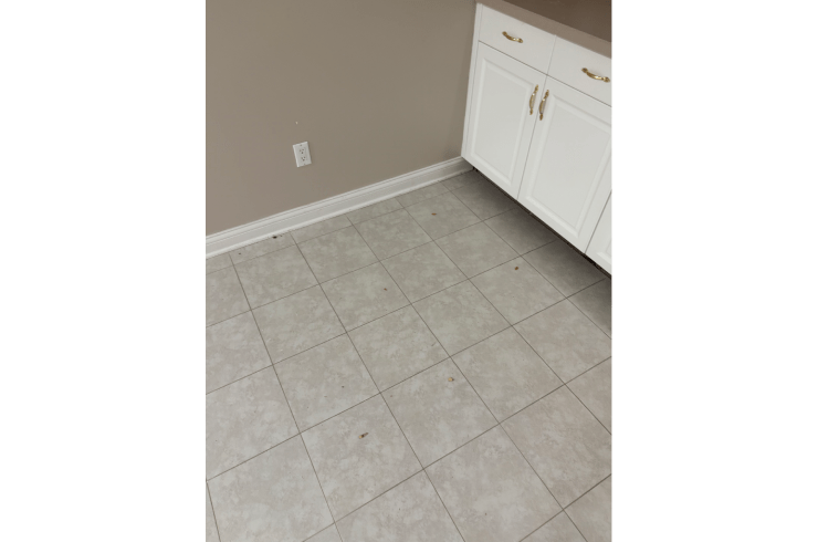 Optimal Organization