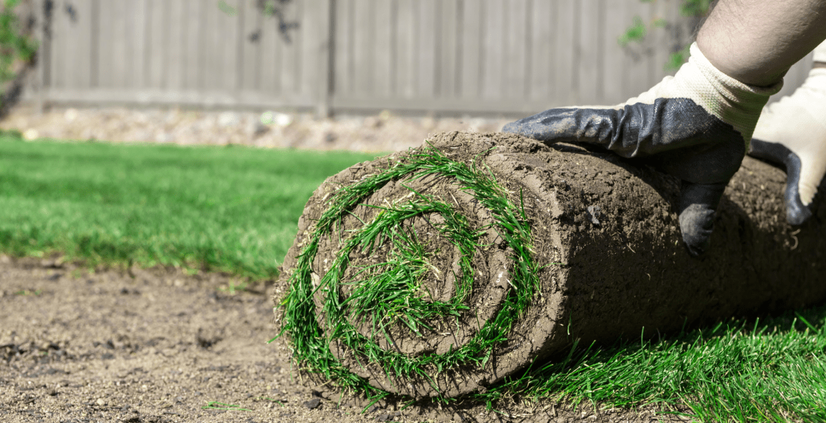 Coastal Crest Landscaping