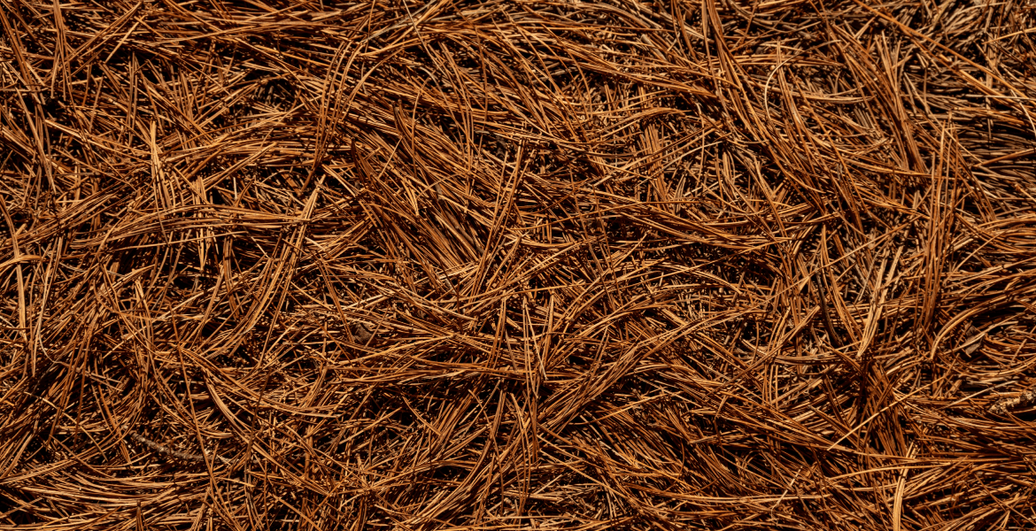 Coastal Crest Landscaping