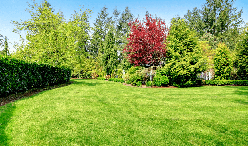 Crown & Root Tree Works