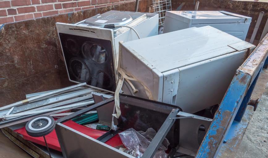 Ryno Junk Removal & Dumpster Rental