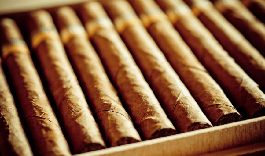 Cigars