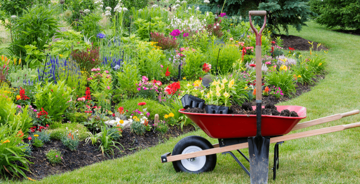 Alvarez Remodeling and Landscape