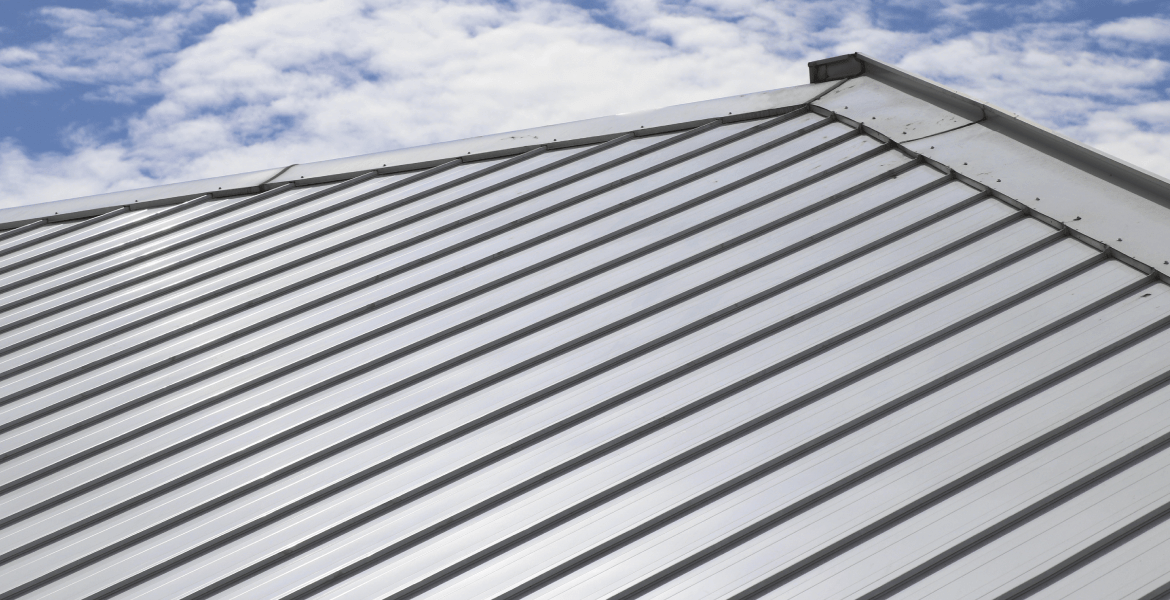 DS Roofing Services