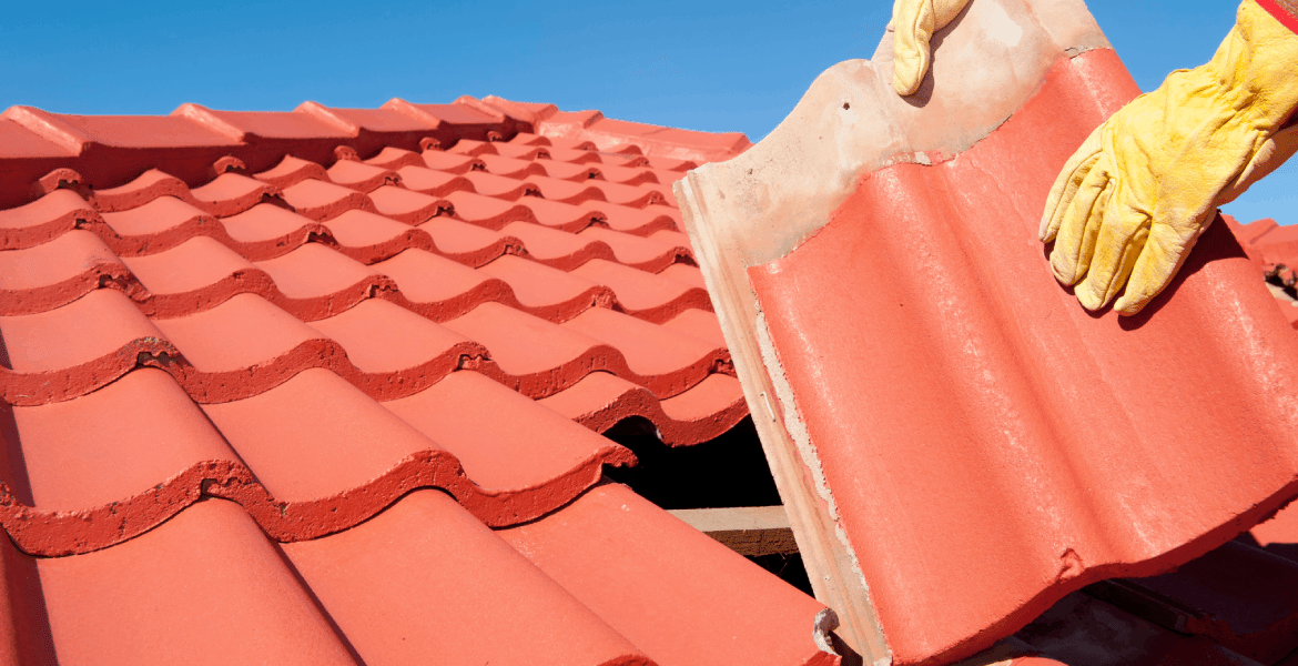 DS Roofing Services