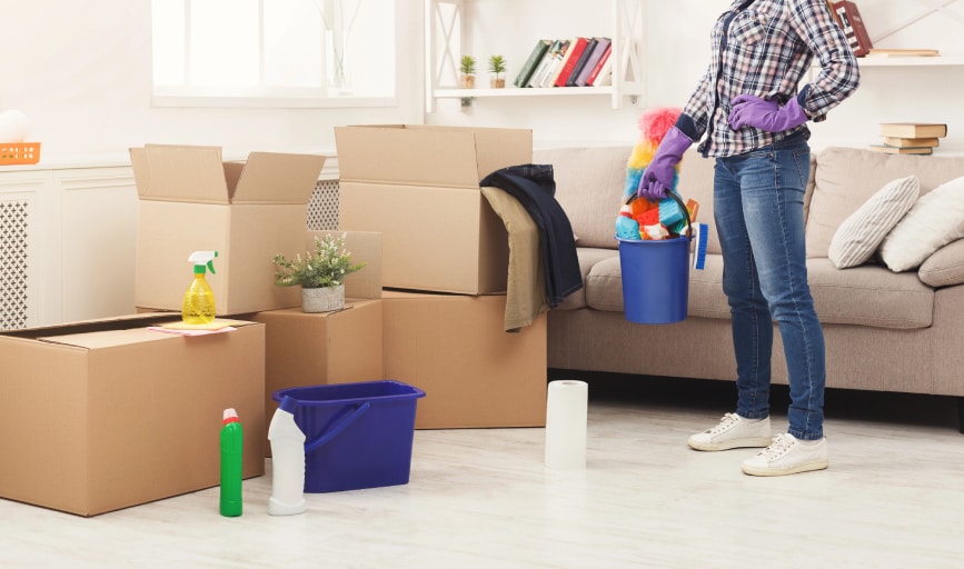 Crazy Clutter Cleaners