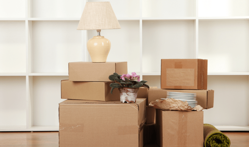 Organize to Optimize NJ