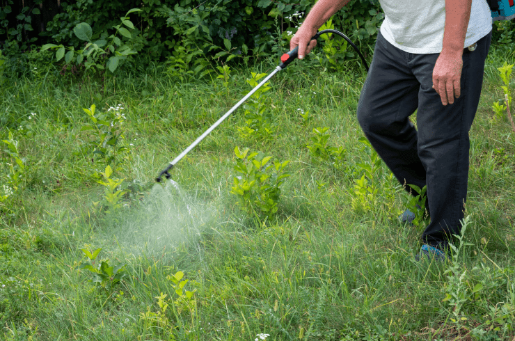 Perfection's Best Lawns