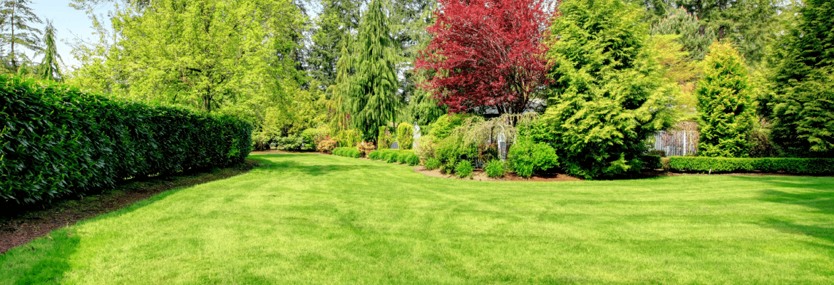 JJ Yard Work and More