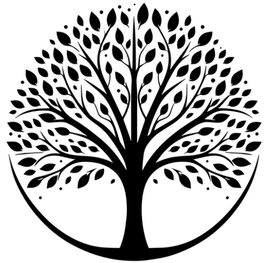 Clear Solutions Primary Care