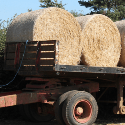 Landscape Trailer Rental