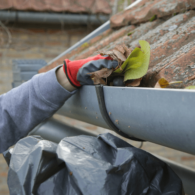 ROOF GUTTER CLEANING