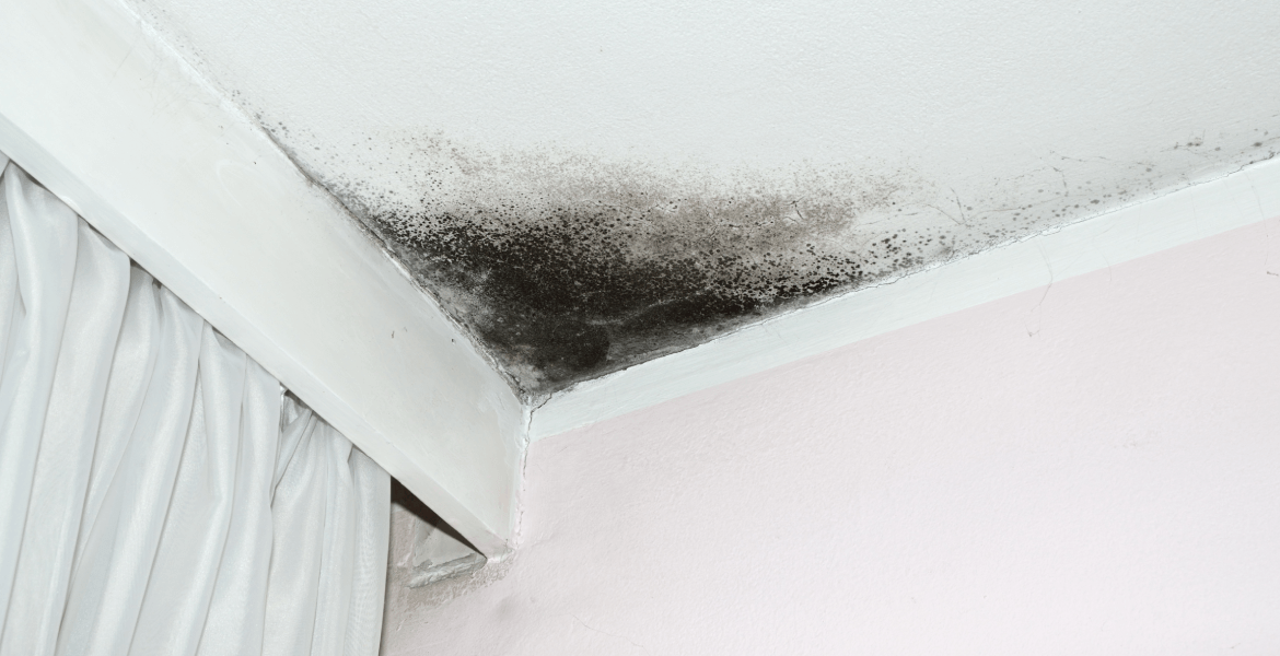 Rockford Restoration Solutions