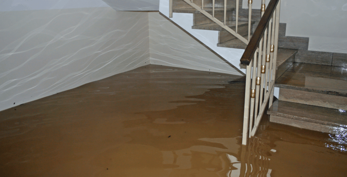 Rockford Restoration Solutions